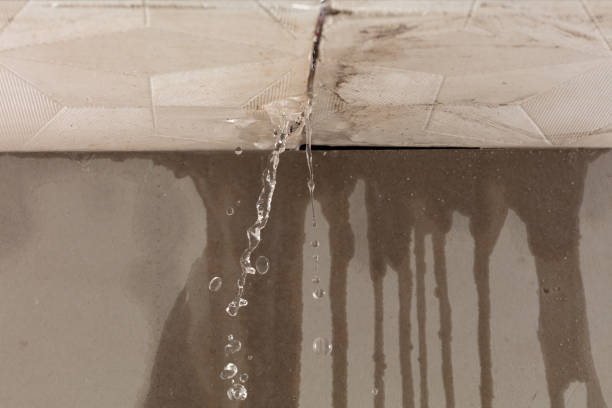 Professional Water Damage Repair technician working in The Plains, OH